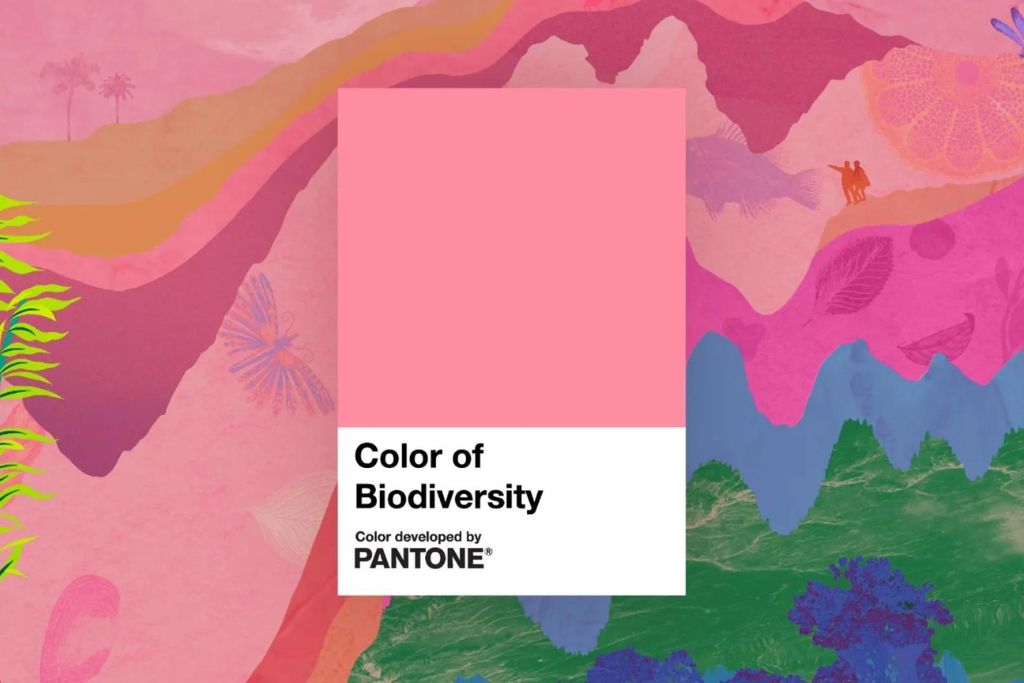 Pantone Color Institute Faz Parceria Com Tealeaves Na Campanha Pantone ...